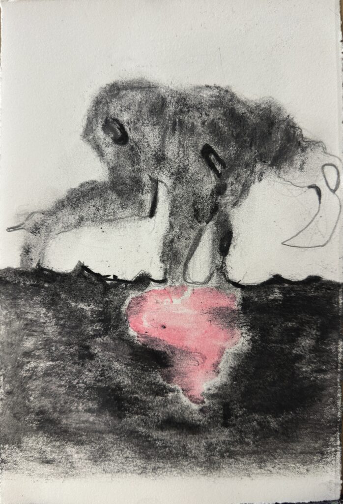 Li Xu, Pink Rabbit Hole, 2026, charcoal and acrylic on paper