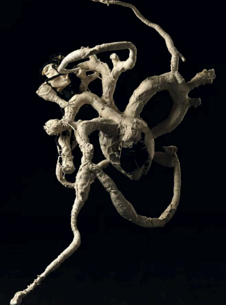 Jingyu Xu, Untitled, 2026, fabric