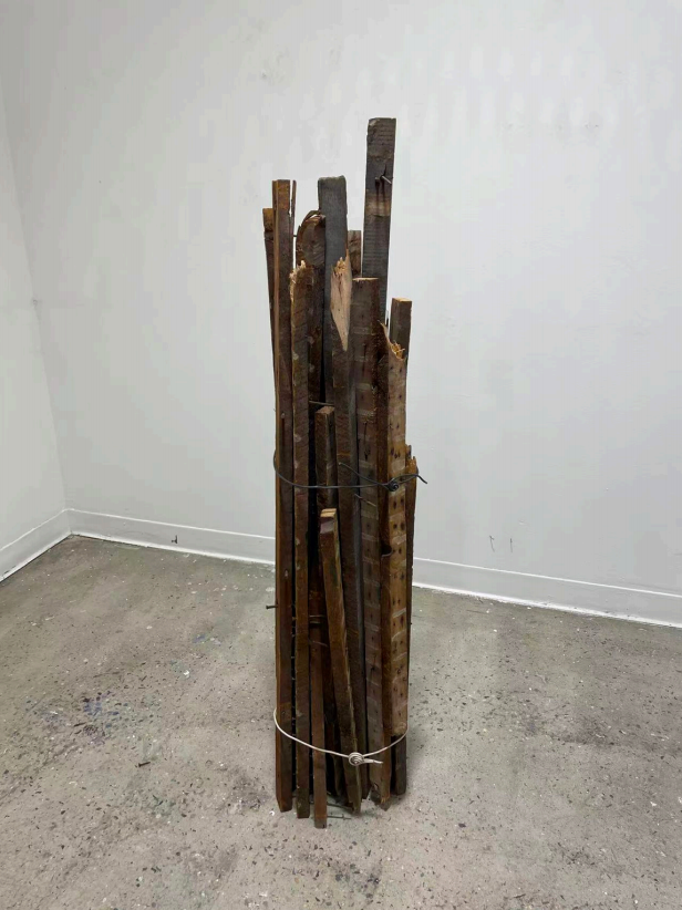 Wyatt Lux, Reserves, 2025, wood, hand-forged nails, and metal wire