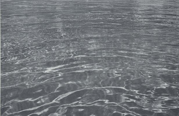 Yichen Ji, Liquid 002 - Metallic, 2025, silkscreen