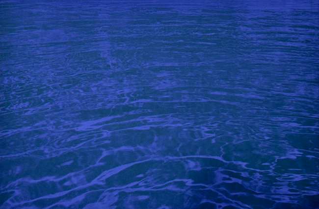 Yichen Ji, Liquid 002 - Periwinkle, 2025, silkscreen