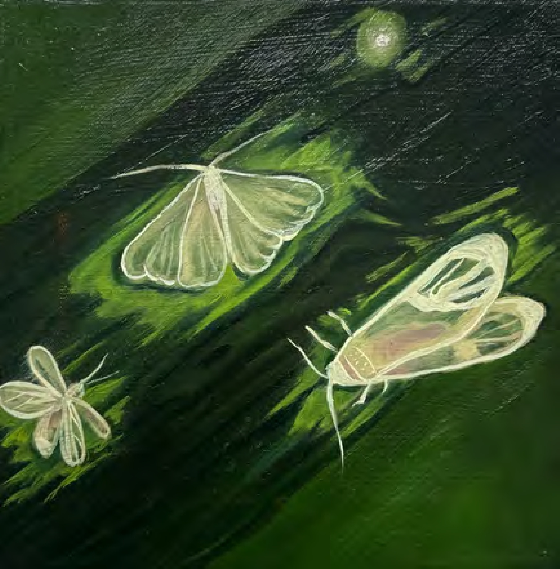 Frances Matassa, Bugs, 2024, oil on canvas