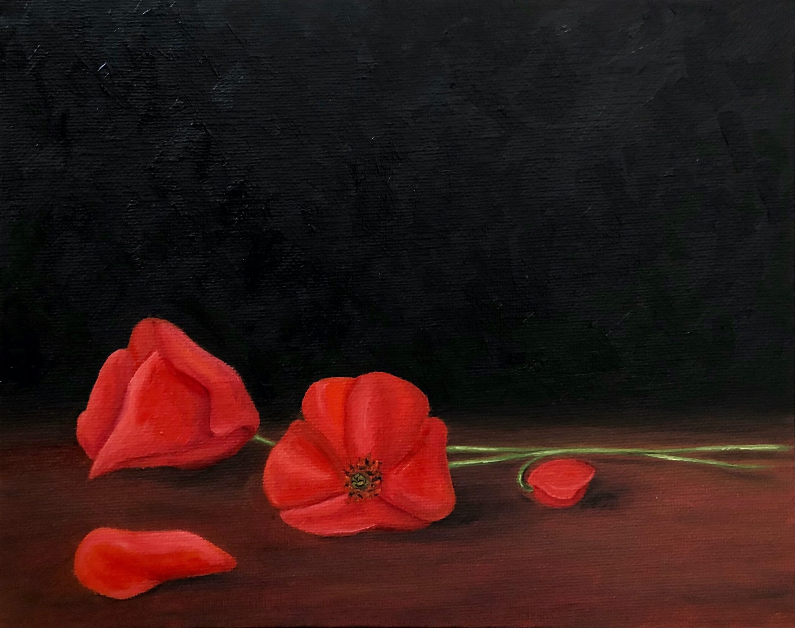 Catherine Falco, Poppies, 2020, oil on canvas